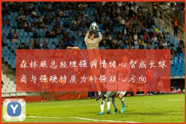 森林狼总经理强调情绪心智成长球商与强硬特质为补强核心方向
