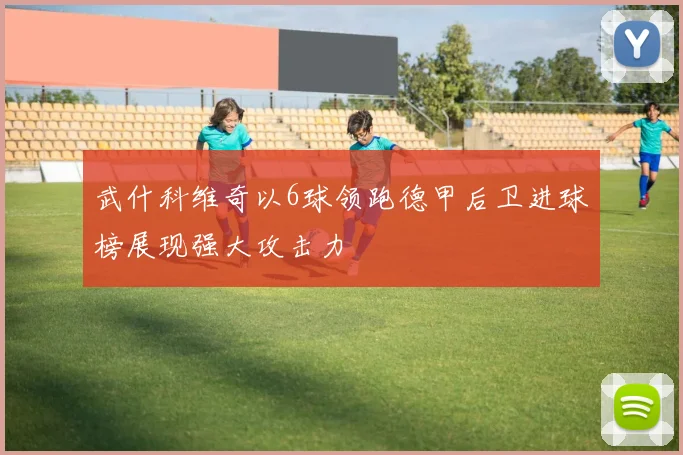 武什科维奇以6球领跑德甲后卫进球榜展现强大攻击力